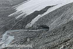 F078167: Gletschertor und Gletscherbach des Schwarzberggletschers