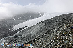 F078169: Schwarzberggletscher: Zunge mit Gletschertor
