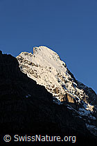 F078564: Gipfel des Eiger im Morgenlicht