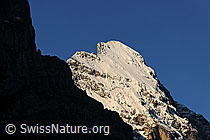 F078565: Eiger im Morgenlicht
