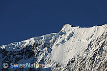 F078568: Gross Fiescherhorn (Nordwand)