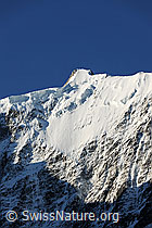 F078569: Gross Fiescherhorn