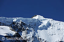 F078603: Gross Fiescherhorn mit Hängegletscher