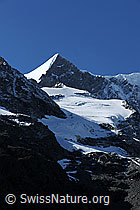 F078636: Ochs (Klein Fiescherhorn)
