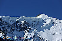 F078640: Hängegletscher und Gipfel des Gross Fiescherhorn