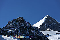 F078646: Ochs