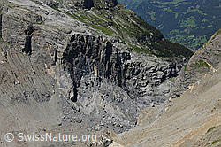 F078726: Der Bergsturz am Eiger, Grindelwald