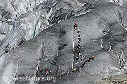 F079275: Seilschaften auf Gletscher