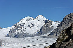 F079391: Mönch und Trugberg