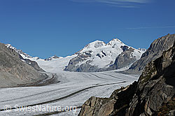 F079392: Jungraujoch, Mönch und Trugberg