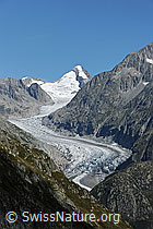 F079487: Fieschergletscher