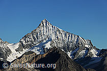 F079543: Weisshorn von SSE