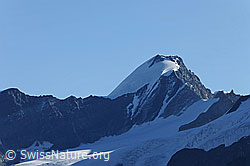 F079621: Allalinhorn
