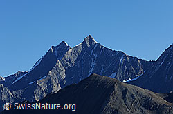 F079623: Dom und Täschhorn