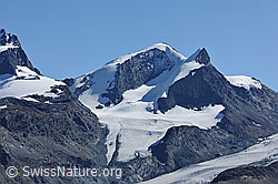 F079712: Strahlhorn und Adlerhorn