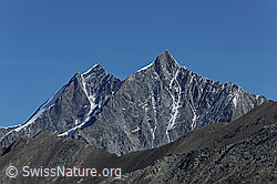 F079829: Dom und Täschhorn