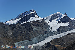 F079856: Rimpfischhorn, Strahlhorn und Adlerhorn