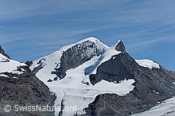 F079879: Strahlhorn und Adlerhorn