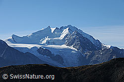 F079941: Mischabelgruppe im Morgenlicht