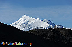 F079950: Weisshorn und Bishorn
