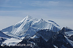F079992: Blick vom Augstbordhorn zu Weisshorn und Bishorn