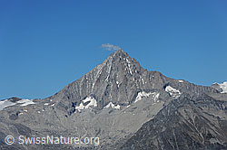 F080080: Portrait Bietschhorn