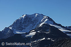 F080155: Fletschhorn