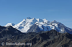 F080159: Mischabelgruppe vom Spitzhorli