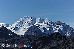 F080226: Mischabelgruppe vom Spitzhorli