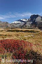 F080340: Vegetation in den Herbstfarben