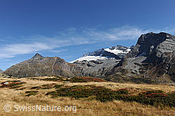 F080341: Wasenhorn, Monte Leone, Hübschhorn