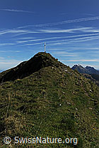 F080491: Gipfel des Schimbrig