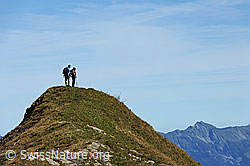 F080656: Wanderer auf dem Gipfel der Sulegg