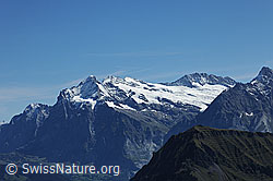 F080670: Wetterhorn, Mittelhorn, Rosenhorn und Bärglistock