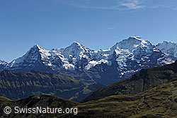 F080676: Eiger, Mönch und Jungfrau