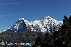 F080731: Eiger und Mönch