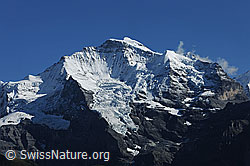 F080745: Jungfrau