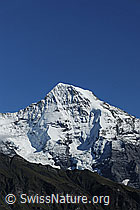 F080749: Mönch Nordwand