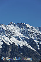 F080753: Mittaghorn