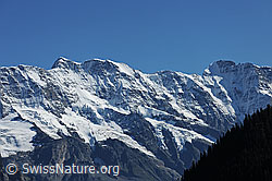 F080755: Mittaghorn und Grosshorn