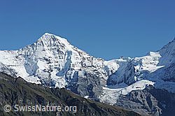 F080758: Mönch und Jungfraujoch