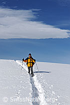 F083083: Outdoor Sport: Schneeschuhwandern