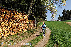 F084008: Wandern im Frühling