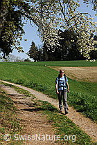 F084013: Wandern in Frühlingslandschaft