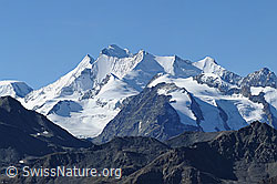 F084029: Mischabelgruppe von E