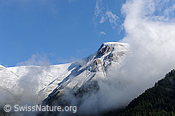 F085550: Nebelstimmung am Grossen Fülhorn