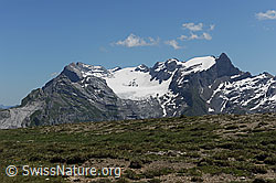F086878: Glärnisch von WSW