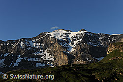 F086903: Clariden