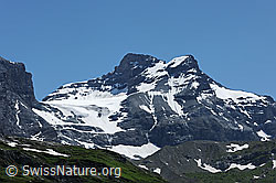 F086983: Chli und Gross Schärhorn