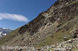 F087263: Felsausbruch am Jegihorn